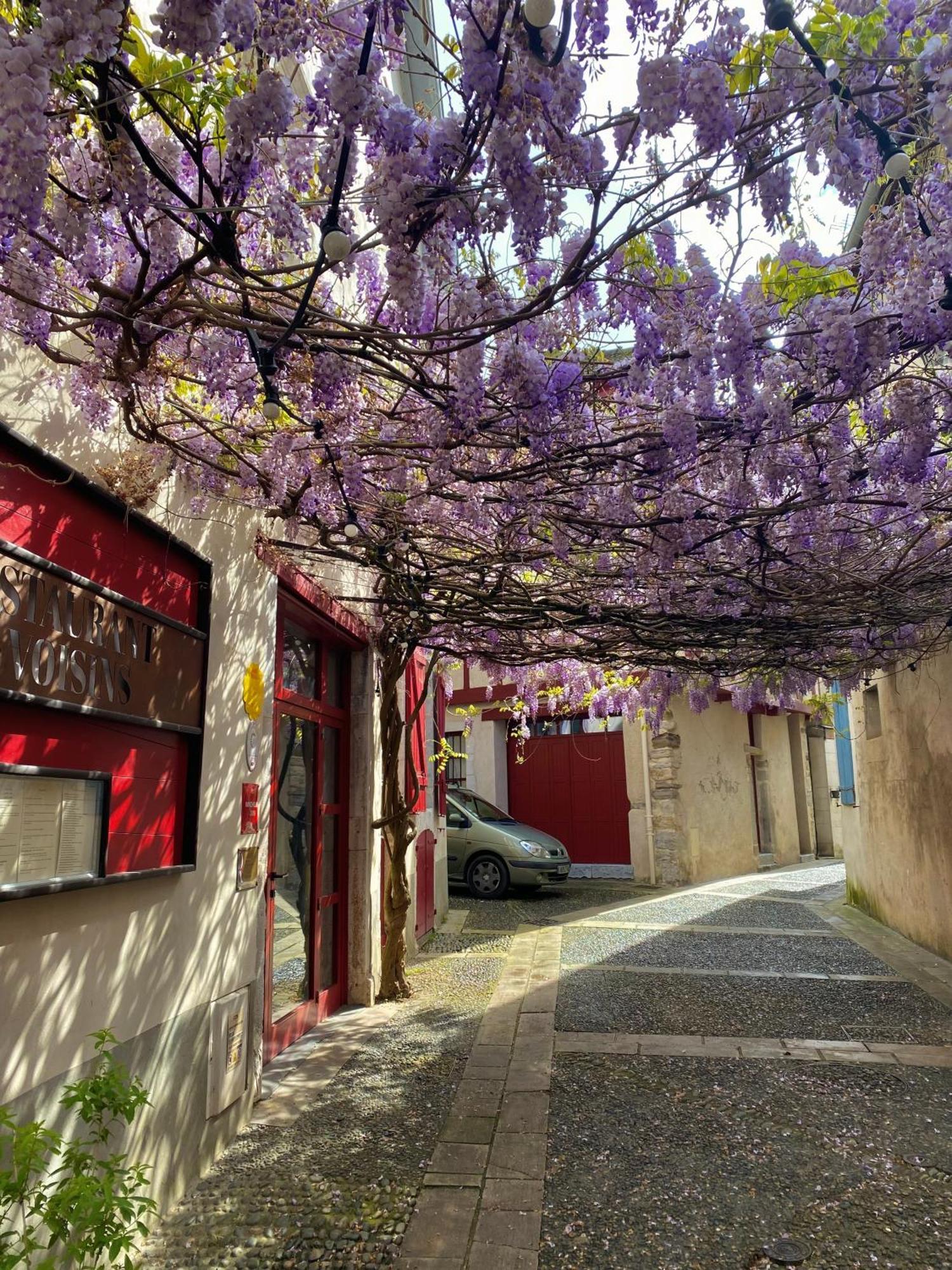 Agreable Petit Gite Avec Piscine Et Jardinet Salies-de-Béarn المظهر الخارجي الصورة